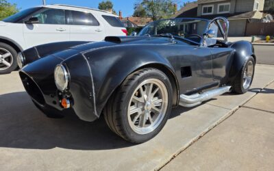 Other Makes Cobra 1965