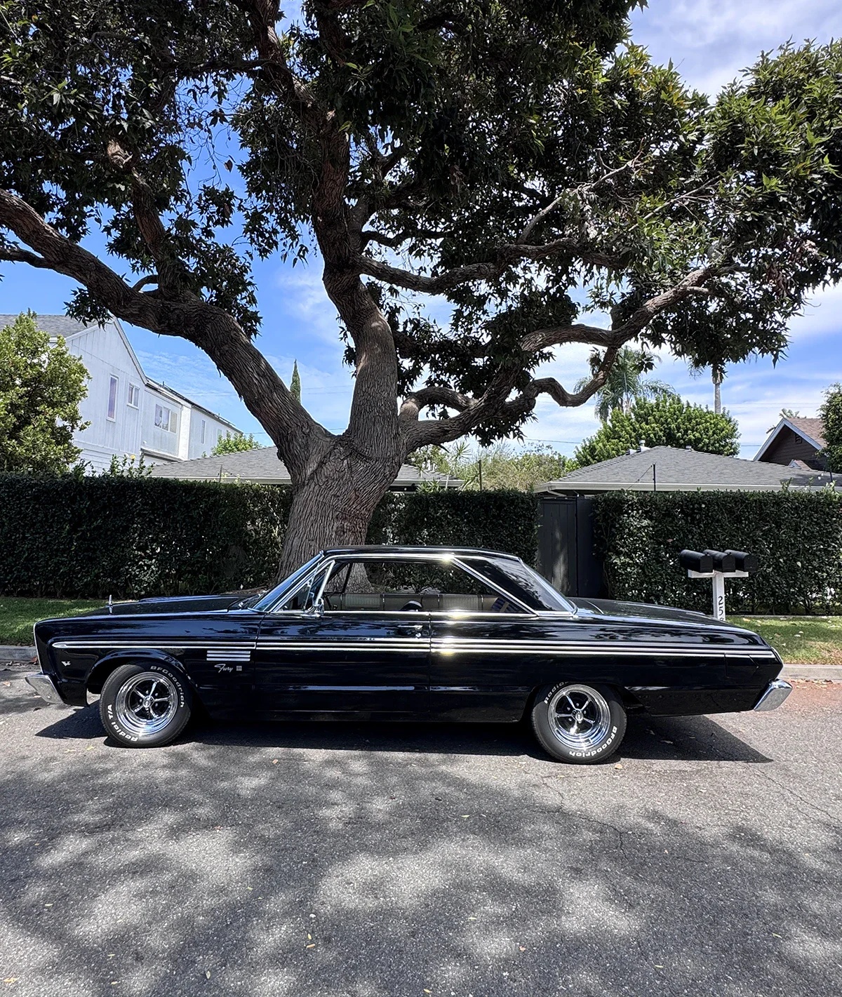 Plymouth-Fury-1965-Black-Gold