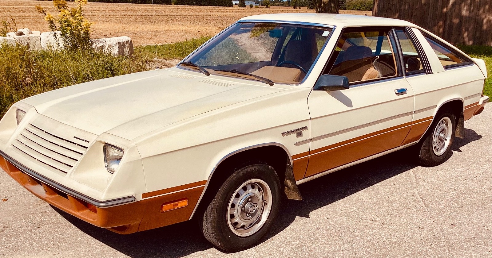 Plymouth-Horizon-TC3-1981-Hatchback-Brown