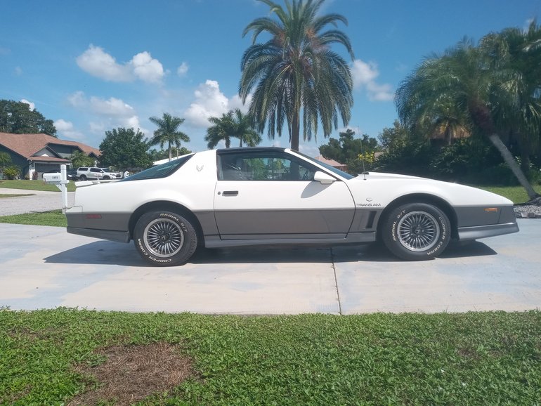 Pontiac-Firebird-1983-White-Lt-Grey