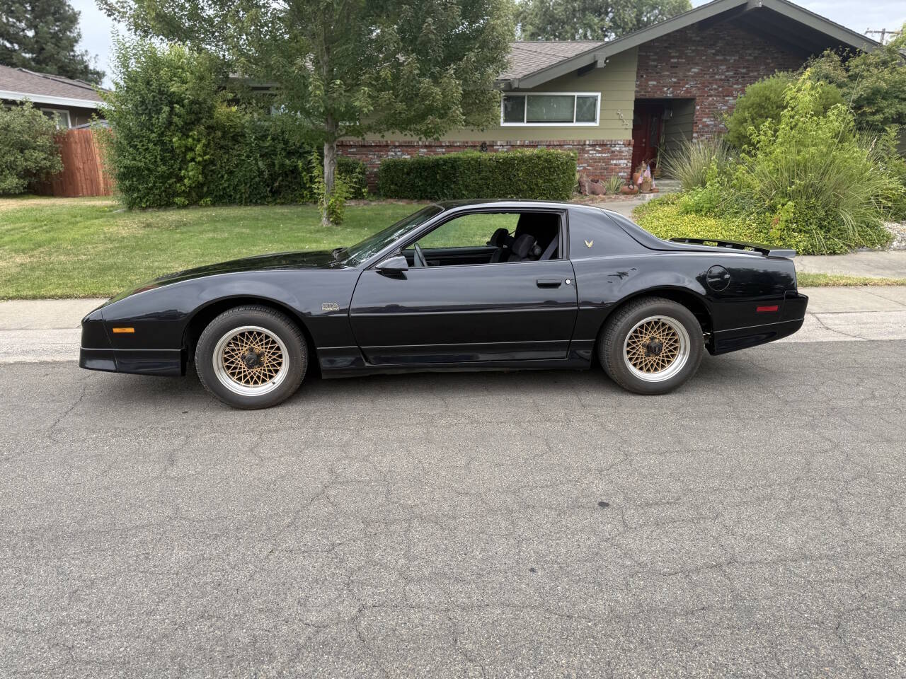Pontiac-Firebird-1988-Black-Gray