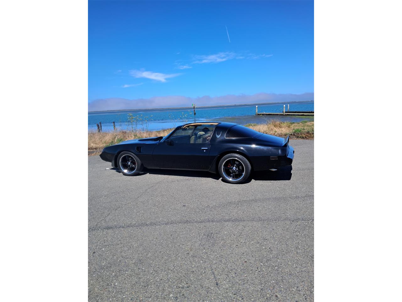 Pontiac-Firebird-trans-am-se-1981-Black-Tan