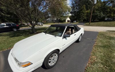 Pontiac Sunbird 1993