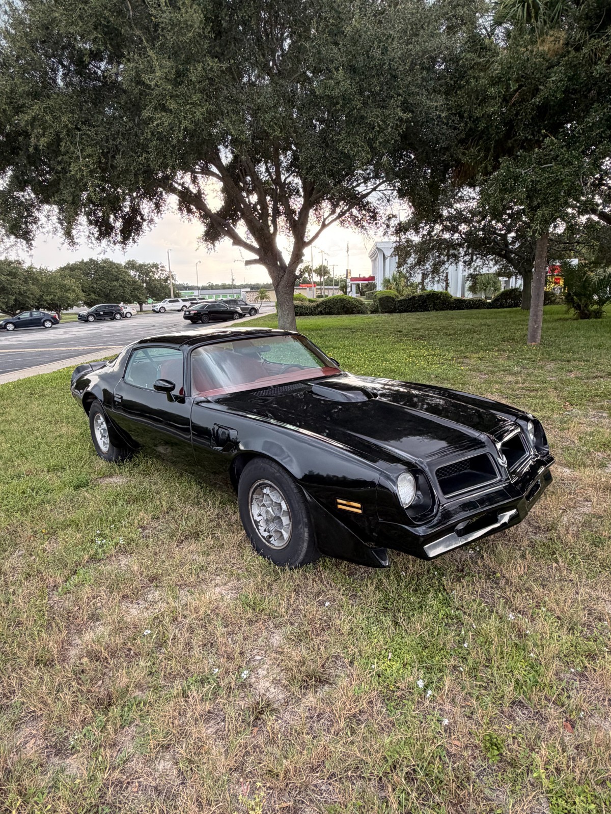 Pontiac Trans Am 1976