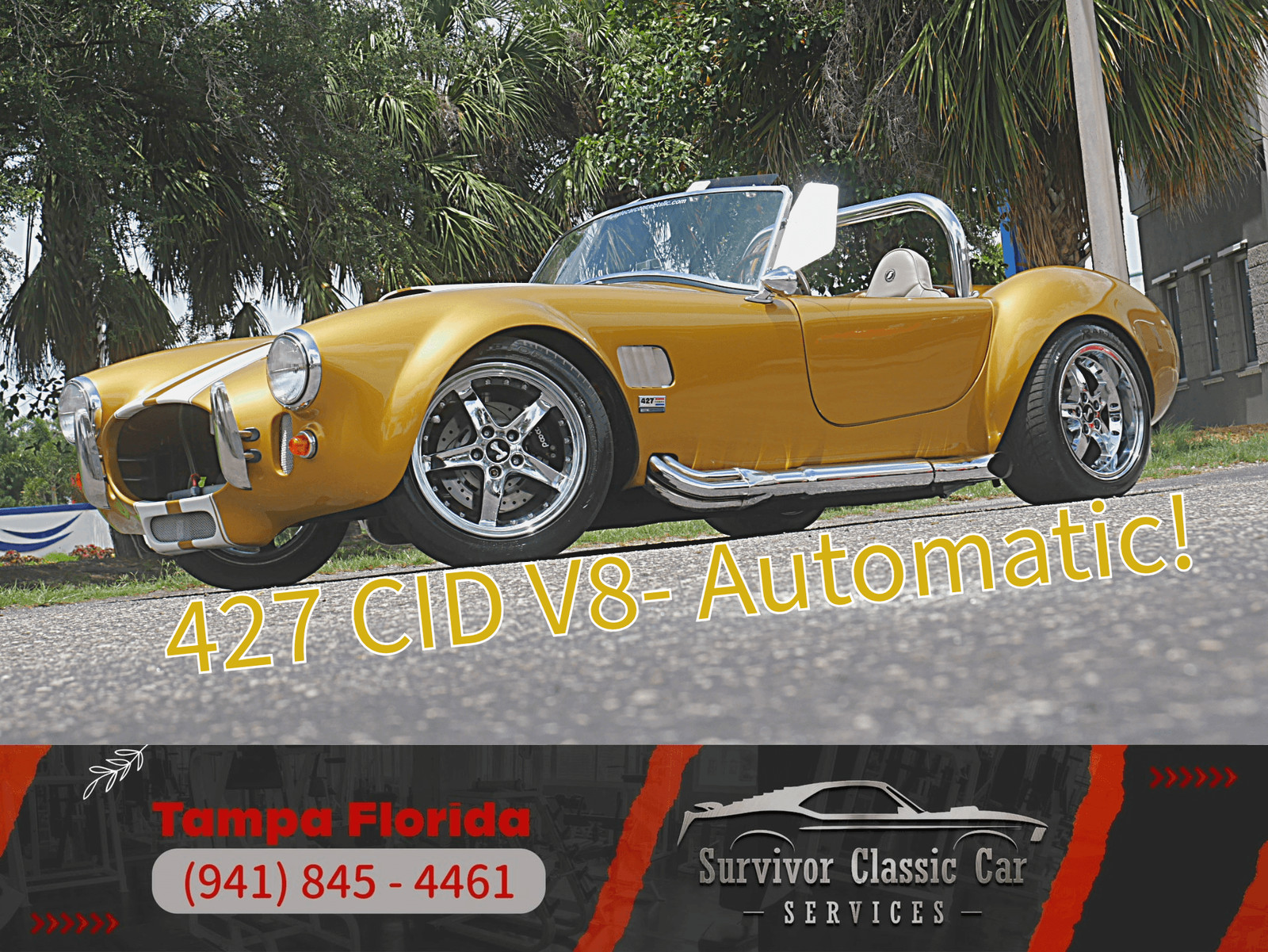 Shelby-Cobra-1966-Other-Other