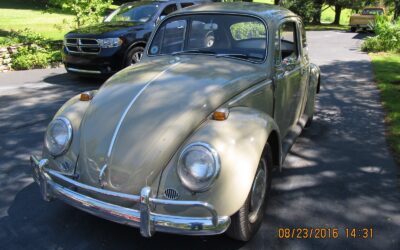 Volkswagen 1300 1966
