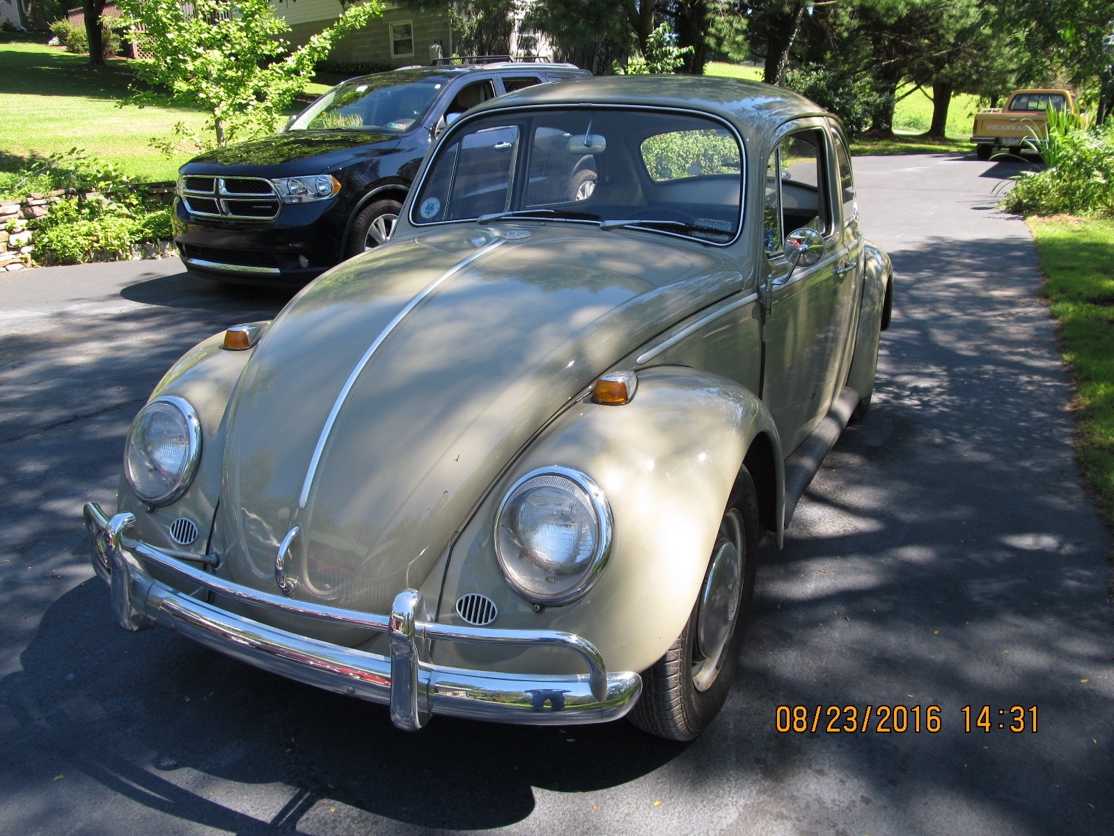 Volkswagen-1300-1966-Sedan-Black