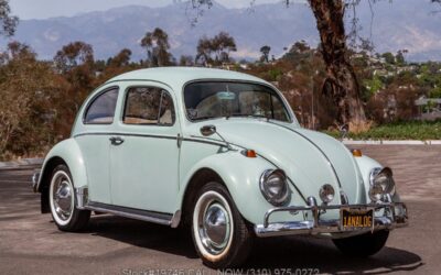Volkswagen Beetle 1964