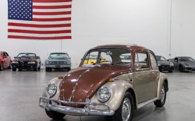 Volkswagen Beetle 1965