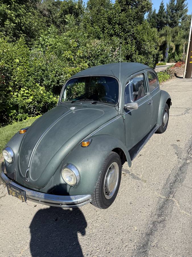 Volkswagen-Beetle-1969-Green