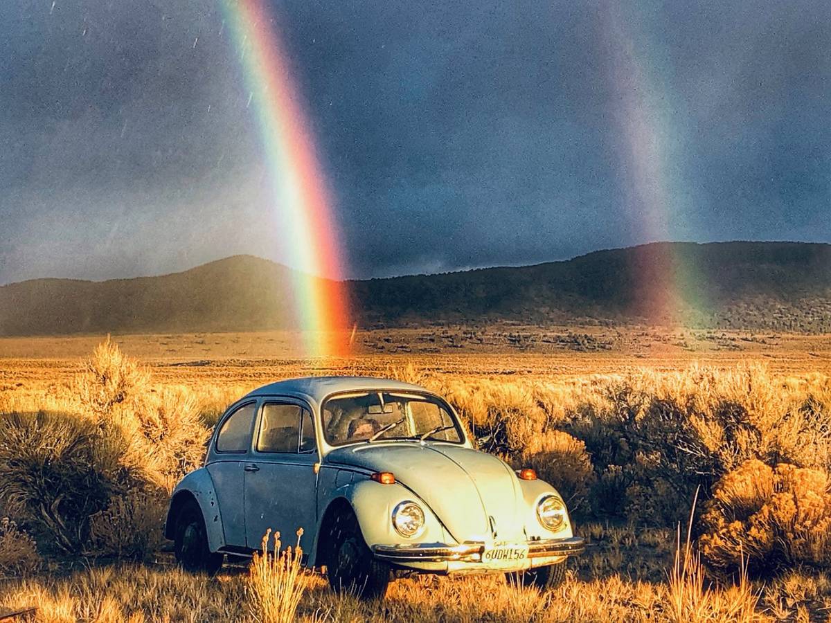 Volkswagen-Beetle-1970-Blue