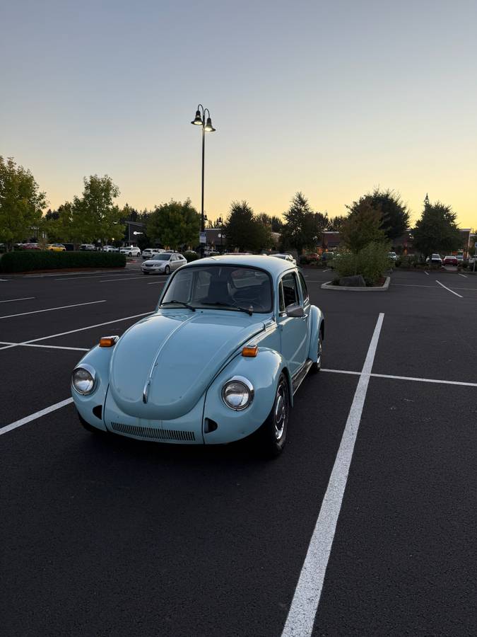 Volkswagen-Beetle-1974-Blue