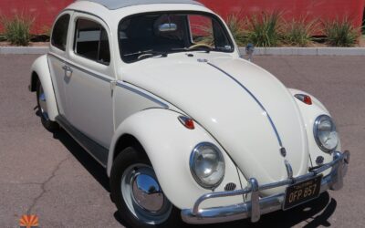 Volkswagen Beetle - Classic 1962