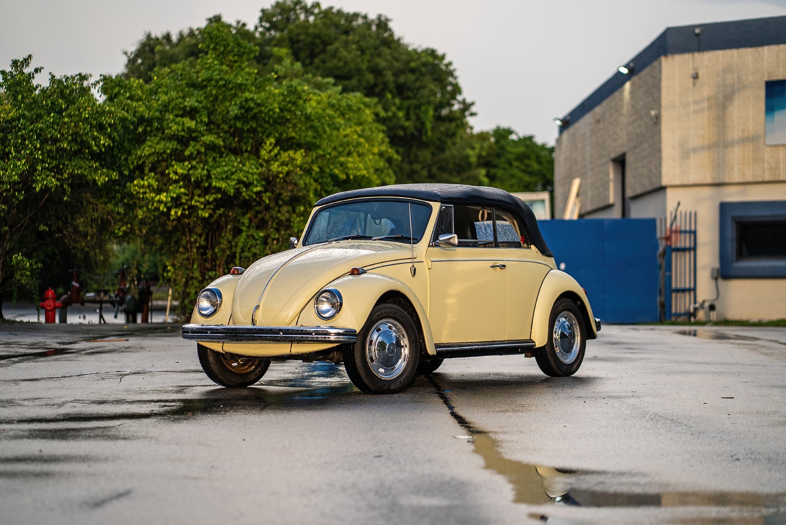 Volkswagen-Beetle-Classic-1969-Convertible-Black