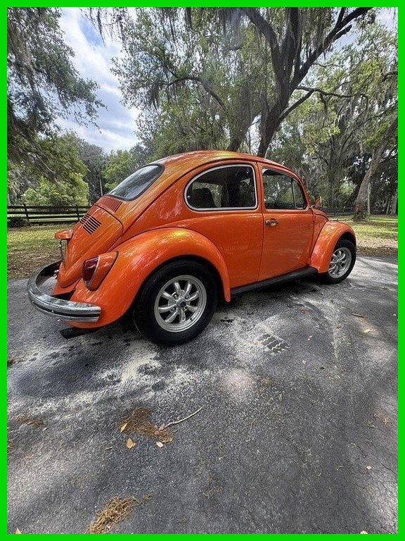 Volkswagen-Beetle-Classic-1969-Other-Other-Color