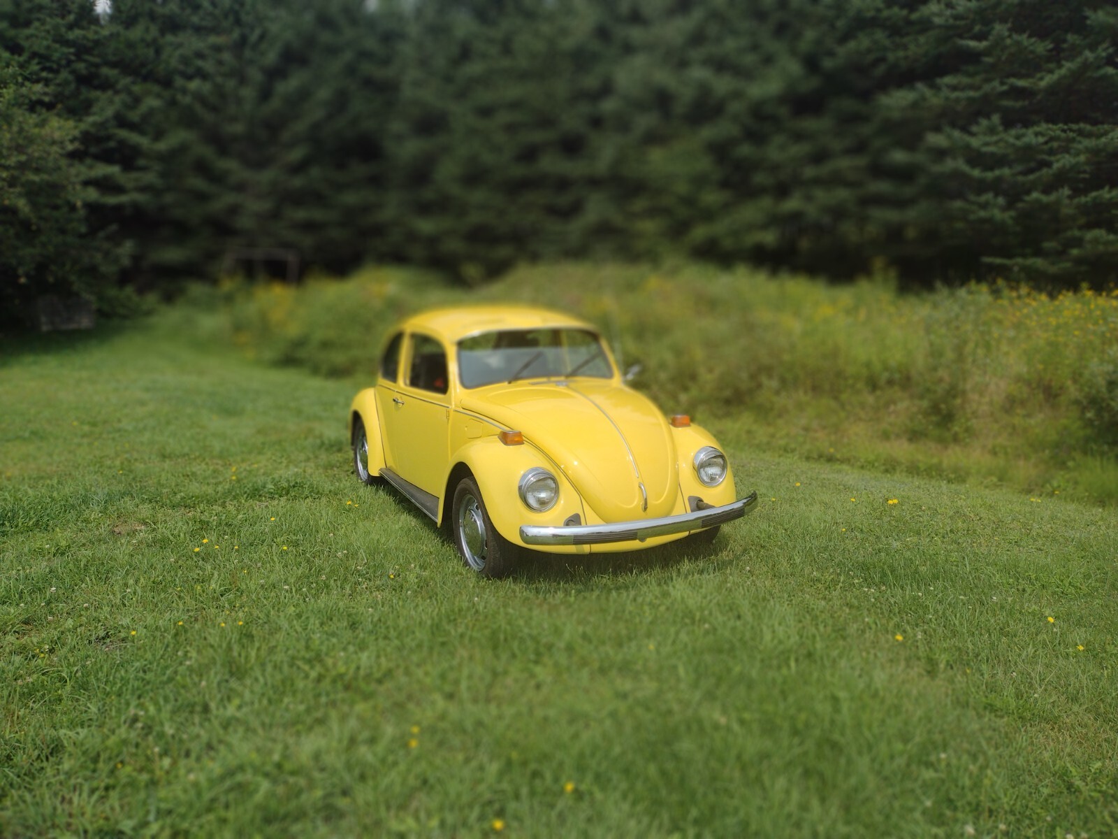 Volkswagen Beetle - Classic 1973