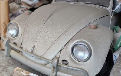 Volkswagen Beetle (Pre-1980) 1967