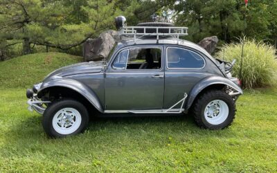 Volkswagen Beetle (Pre-1980) 1967