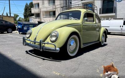 Volkswagen Beetle original paint 1960