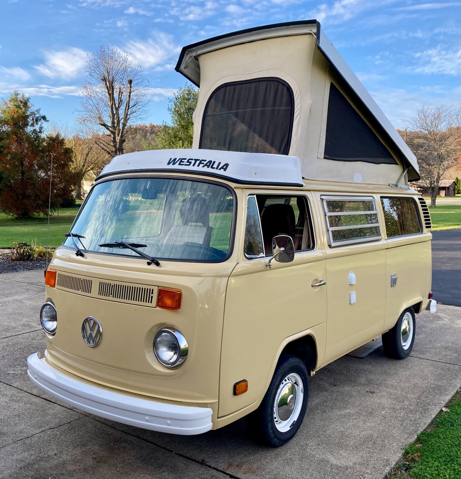 Volkswagen-BusVanagon-1978-Brown