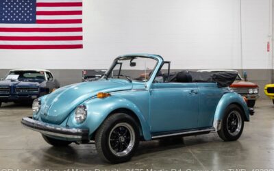 Volkswagen Super Beetle 1979