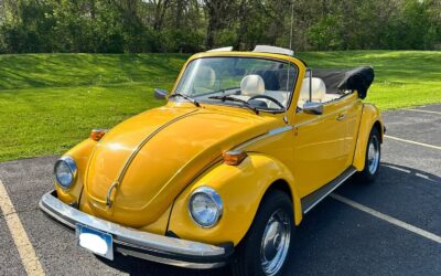 Volkswagen Super Beetle 1979