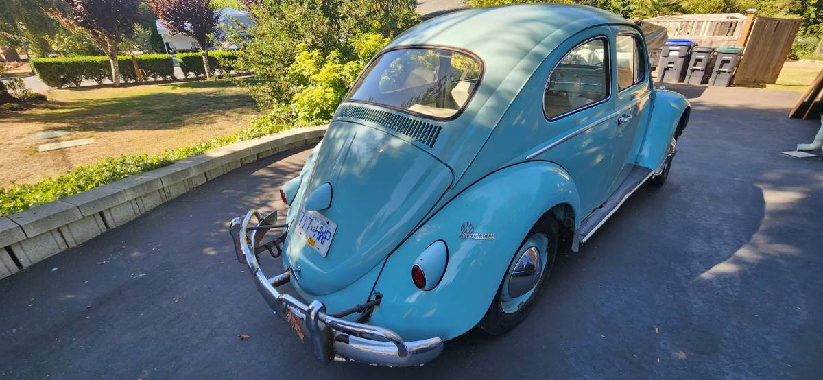 Volkswagen-Type-1-1961-Blue