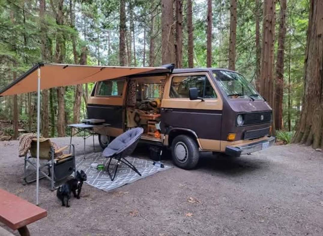 Volkswagen-Vanagon-1984