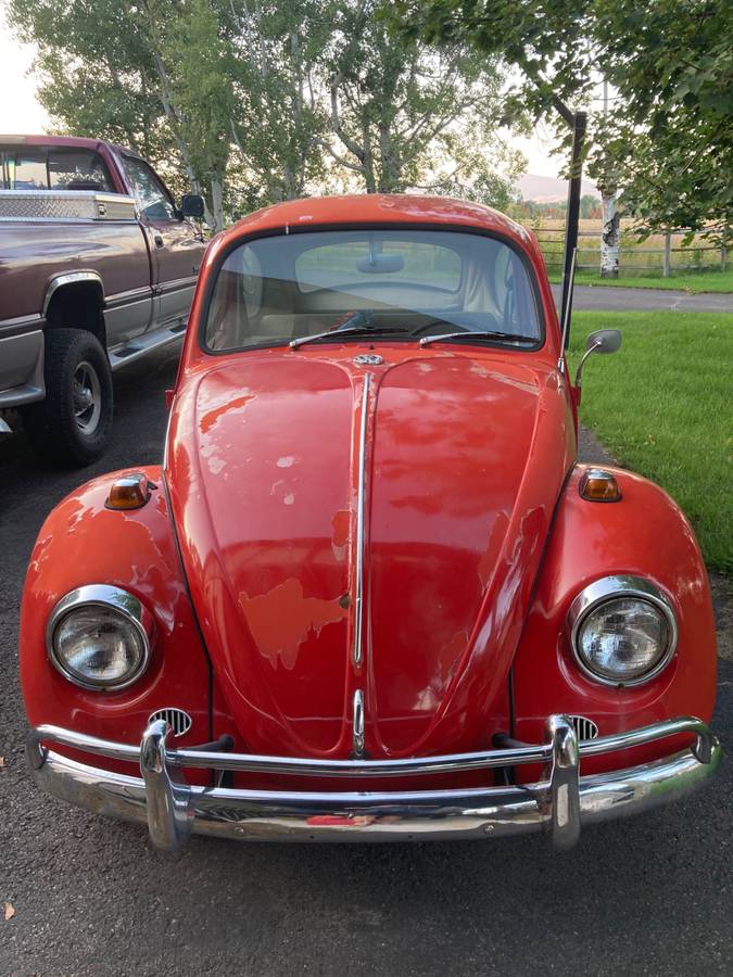 Volkwagen-beetle-1967