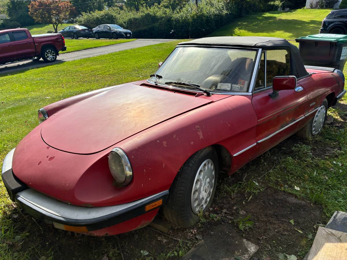 Alfa-romeo-Graduate-1988-Red