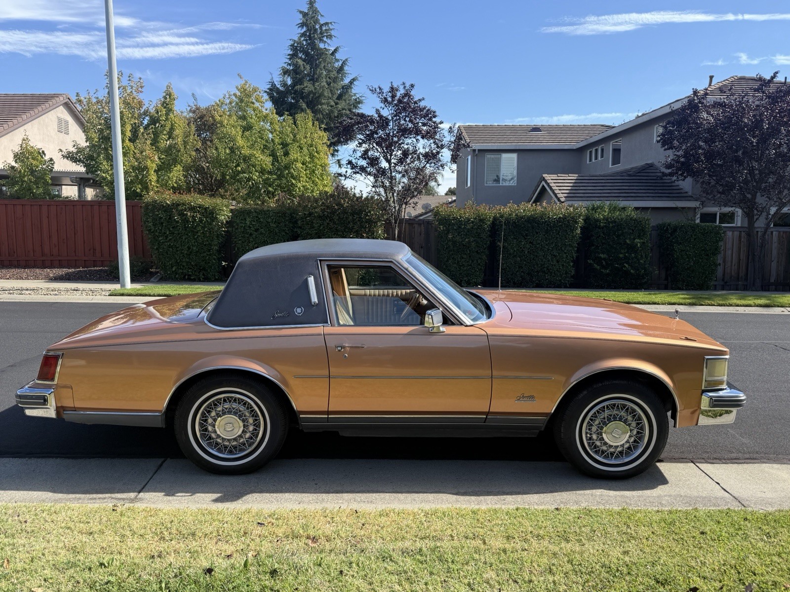 Cadillac-Other-1976-Coupe-Tan
