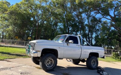 Chevrolet 1/2 Ton Pickup 1985