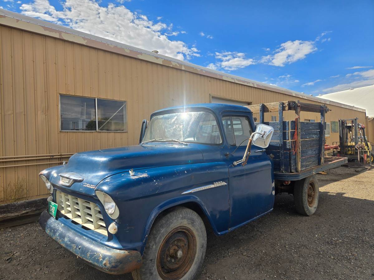 Chevrolet-3800-1954-Blue