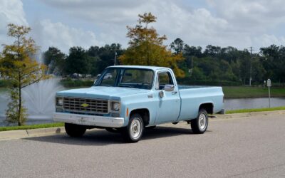 Chevrolet C-10 1976