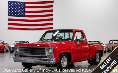 Chevrolet C-10 1980