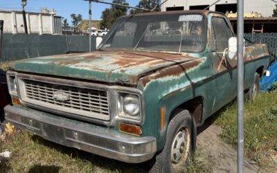 Chevrolet C20 Pickup 1974