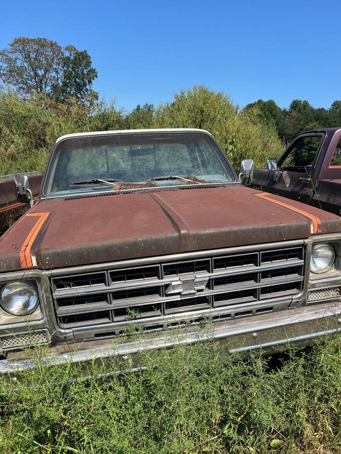 Chevrolet-K10-cheyenne-1979-Brown