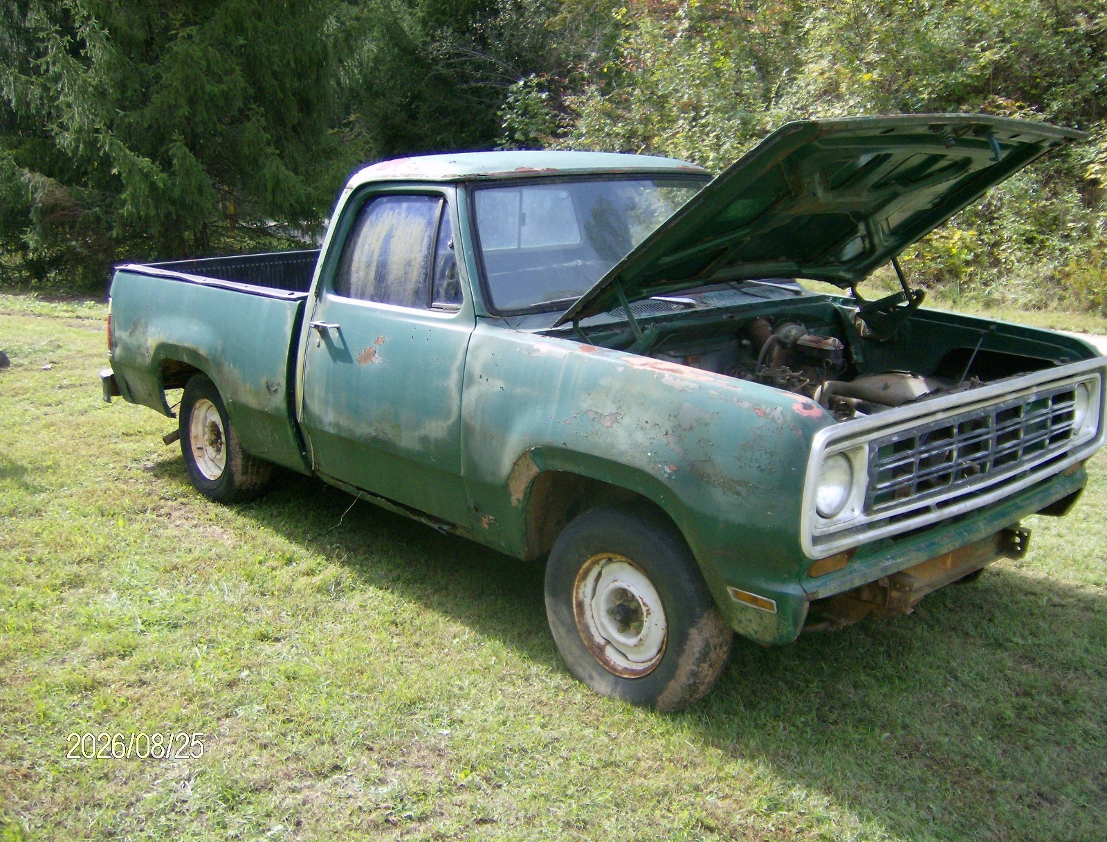 Dodge-D-100-1977