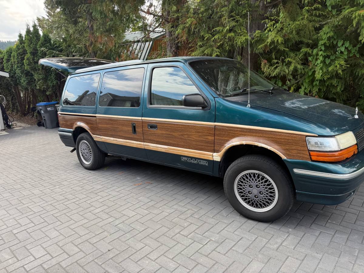 Dodge-Grand-caravan-lees-1994-Green