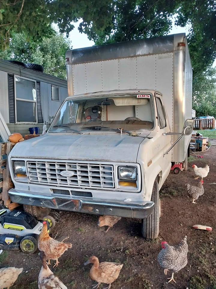 Ford-E-350-1985