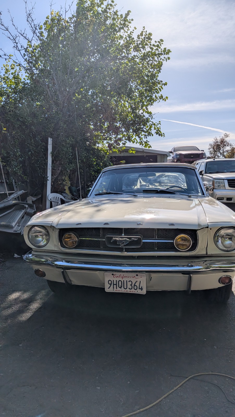 Ford-Mustang-1965-Convertible-White