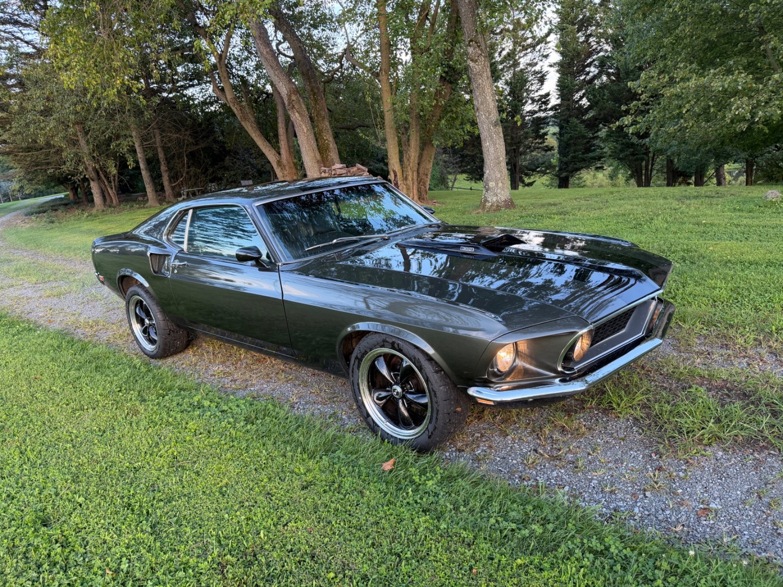 Ford Mustang 1969
