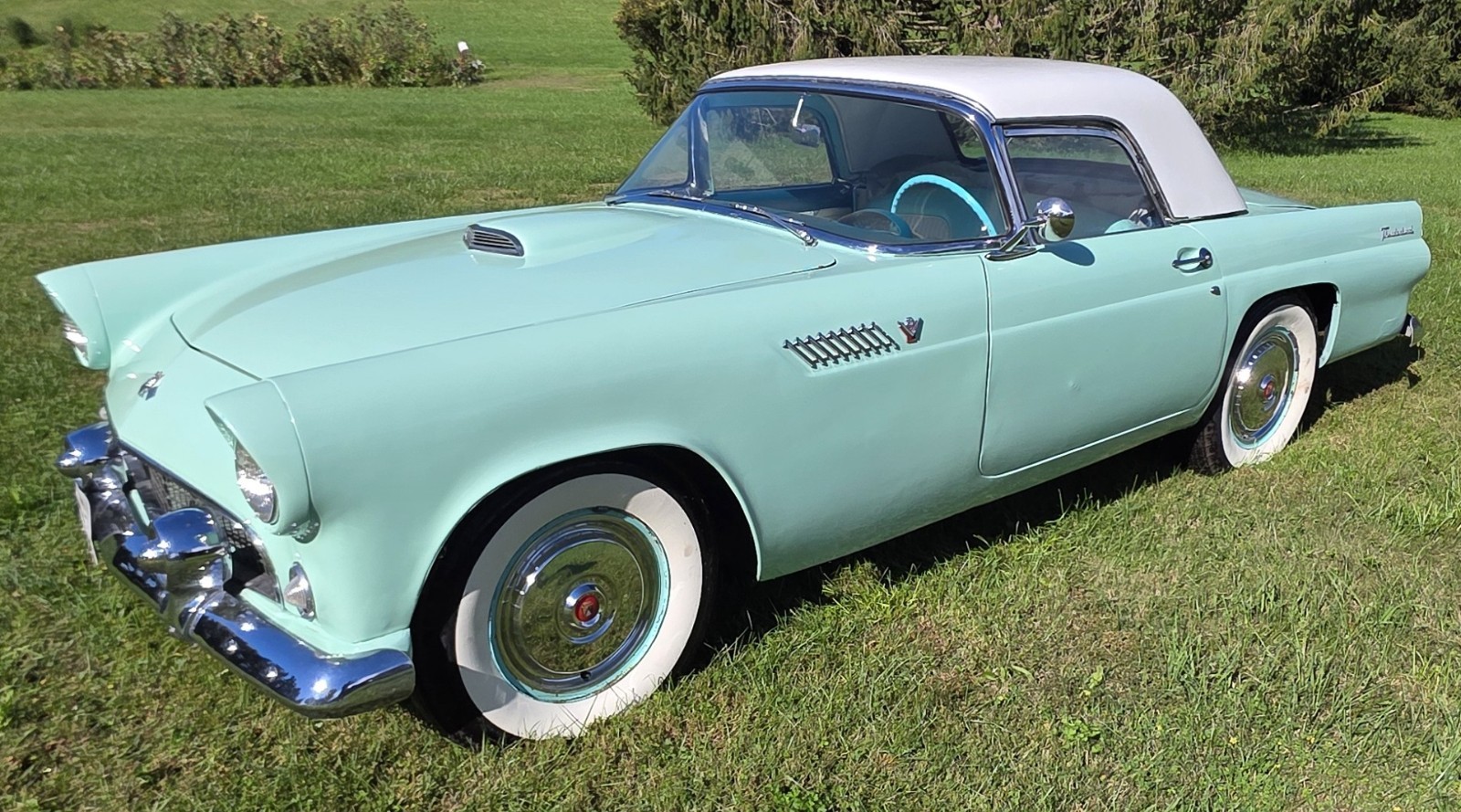 Ford Thunderbird 1955