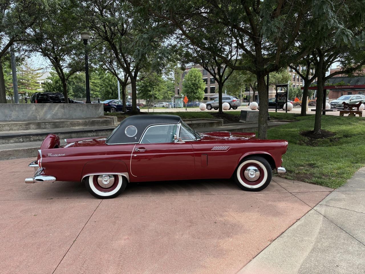Ford-Thunderbird-1956-Burgundy-Black-and-White