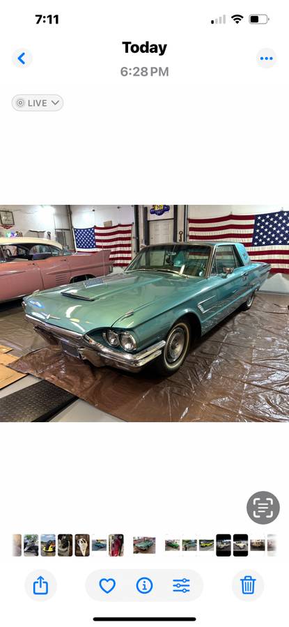 Ford-Thunderbird-1965-Blue