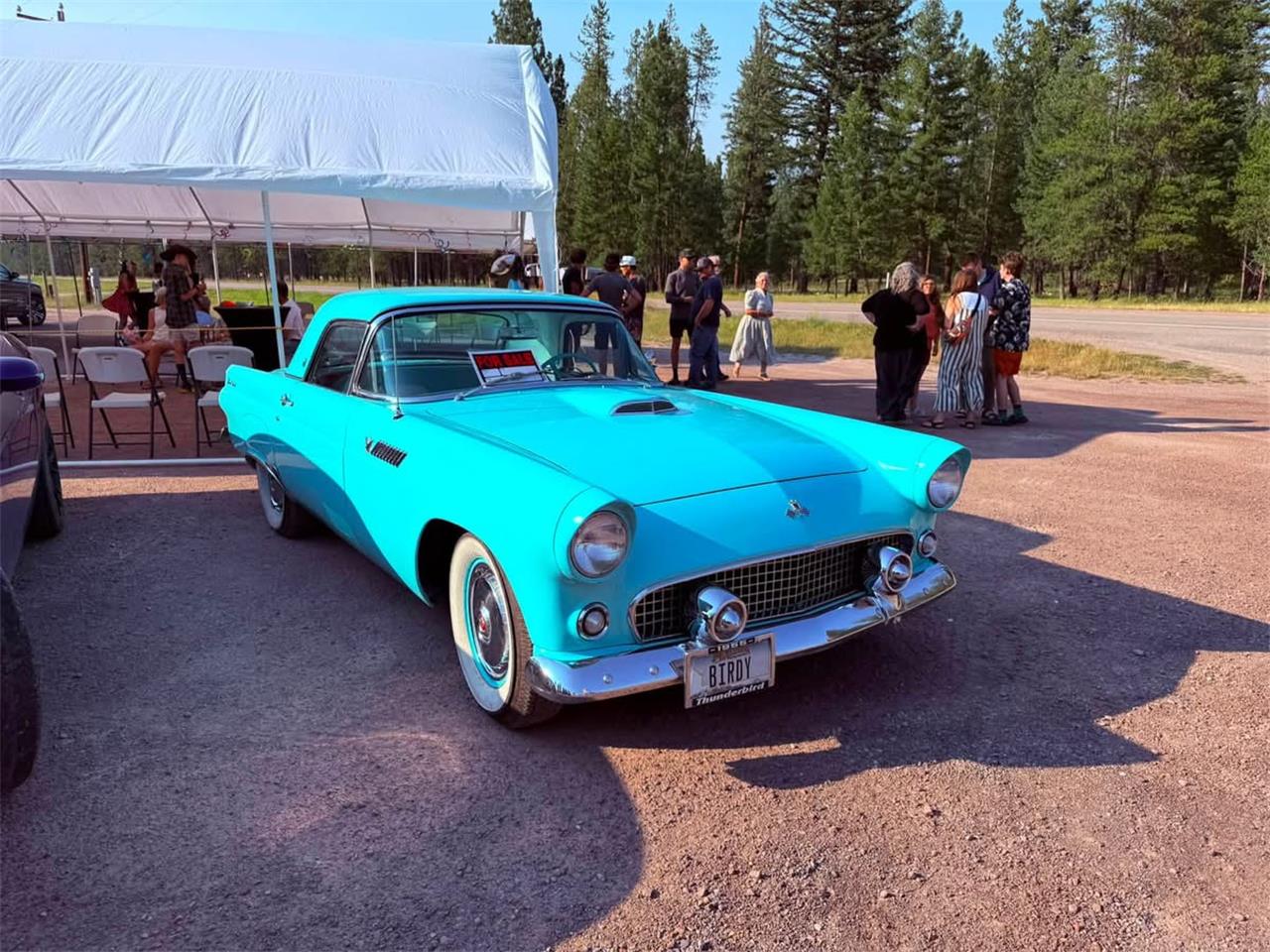 Ford-Thunderbird-e-code-convertible-1955-Thunderbird-Blue-Turquoisewhite