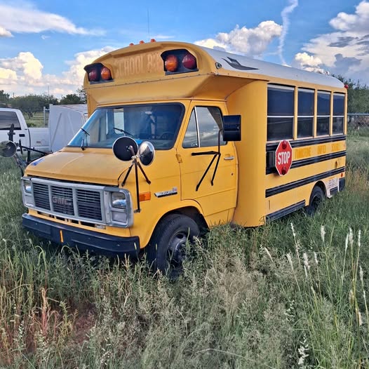 Gmc-G30-microbird-1990