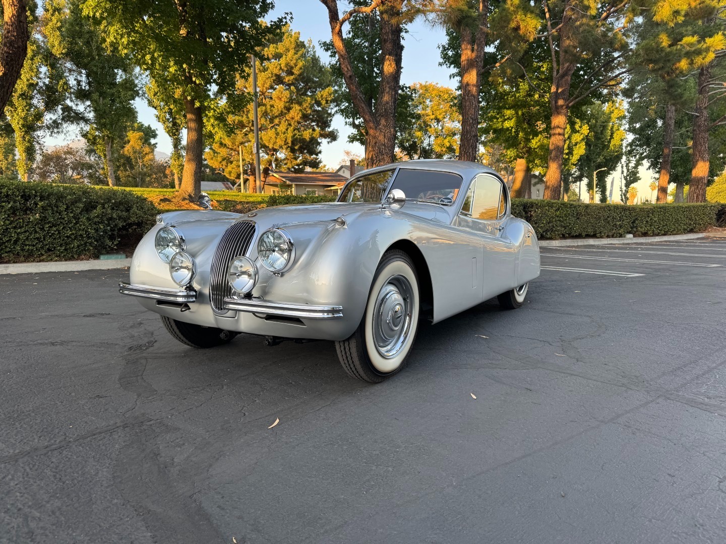 Jaguar XK120 1953