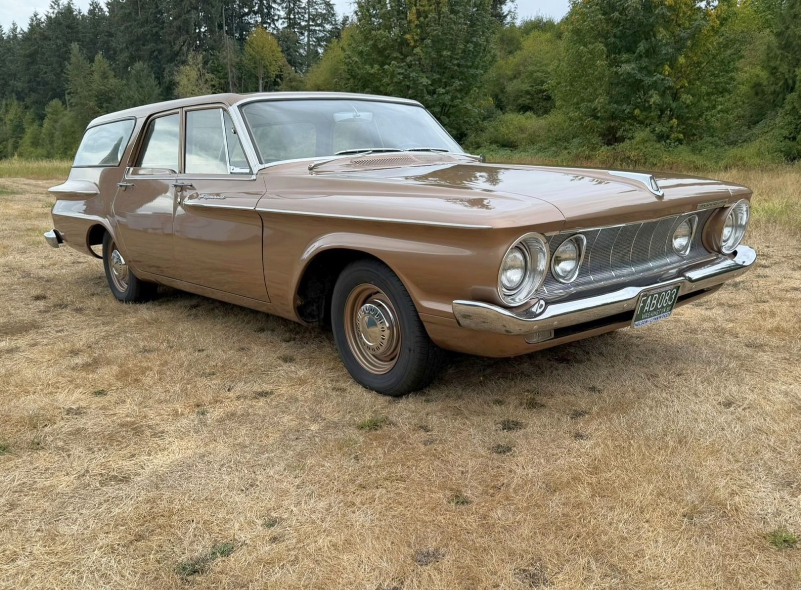 Plymouth-Savoy-1962-Wagon-Gold