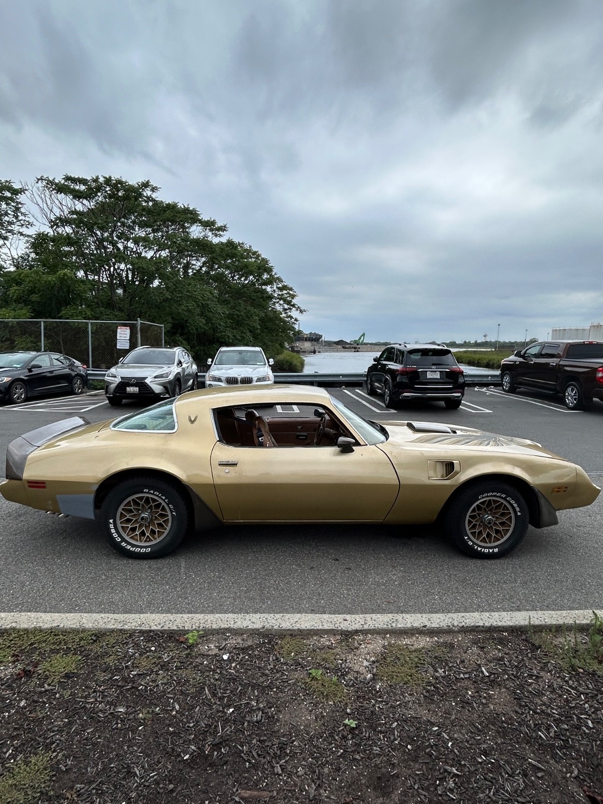 Pontiac Firebird 1979
